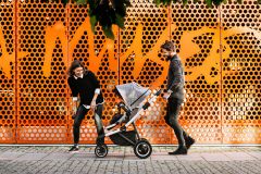 Thule Sleek Bebek Arabası - Aluminum/Shadow Grey