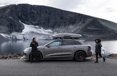 Thule Motion 3 / XL Parlak Titan Gri Portbagaj